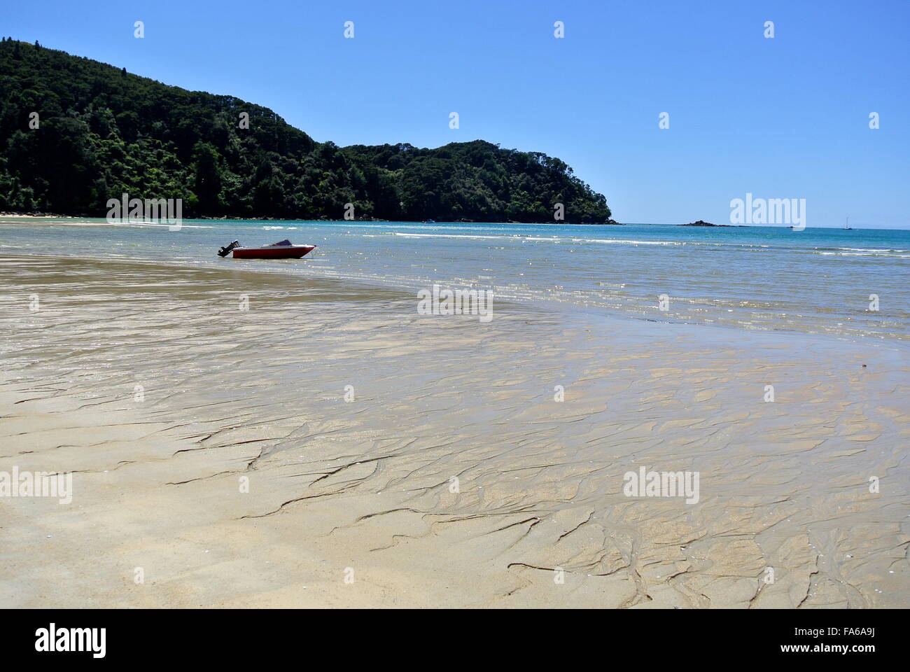 Bark Bay Stockfoto