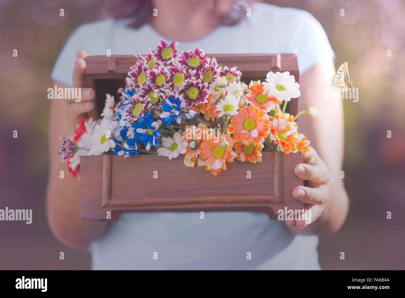 Schmetterling fliegen neben einer Frau mit Schachtel mit Blumen Stockfoto