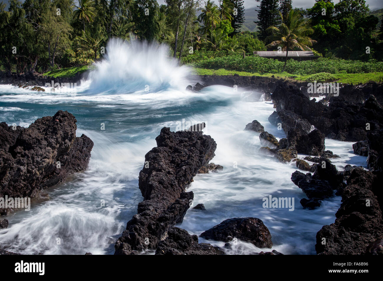 Welle stürzt an der Küste, Keanae, Maui, Hawaii, Vereinigte Staaten Stockfoto