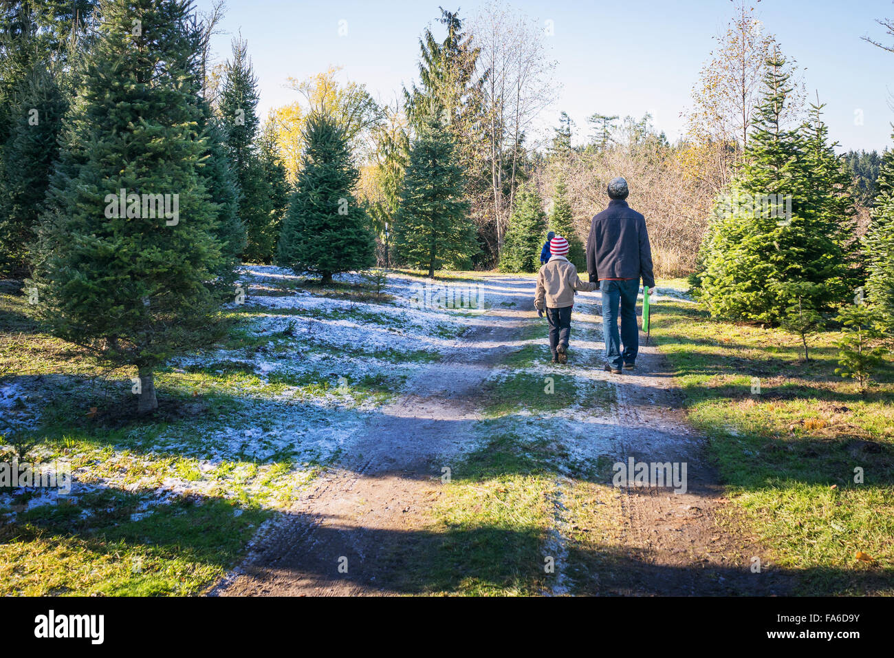 Vater und Sohn hand in hand gehen mit Händen gesehen auf Christmas Tree farm Stockfoto