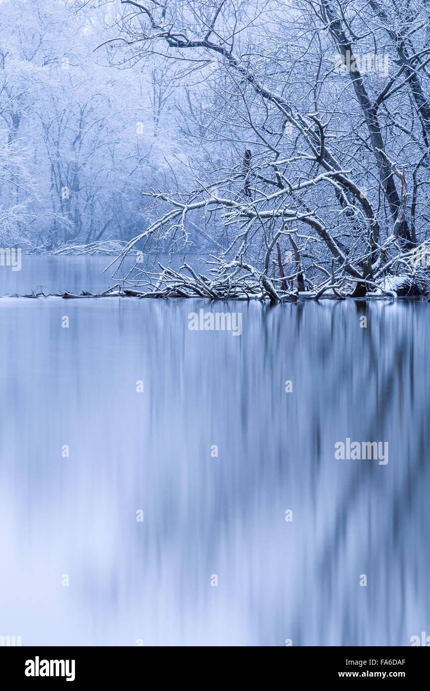 Winterbäume am Flussufer Stockfoto