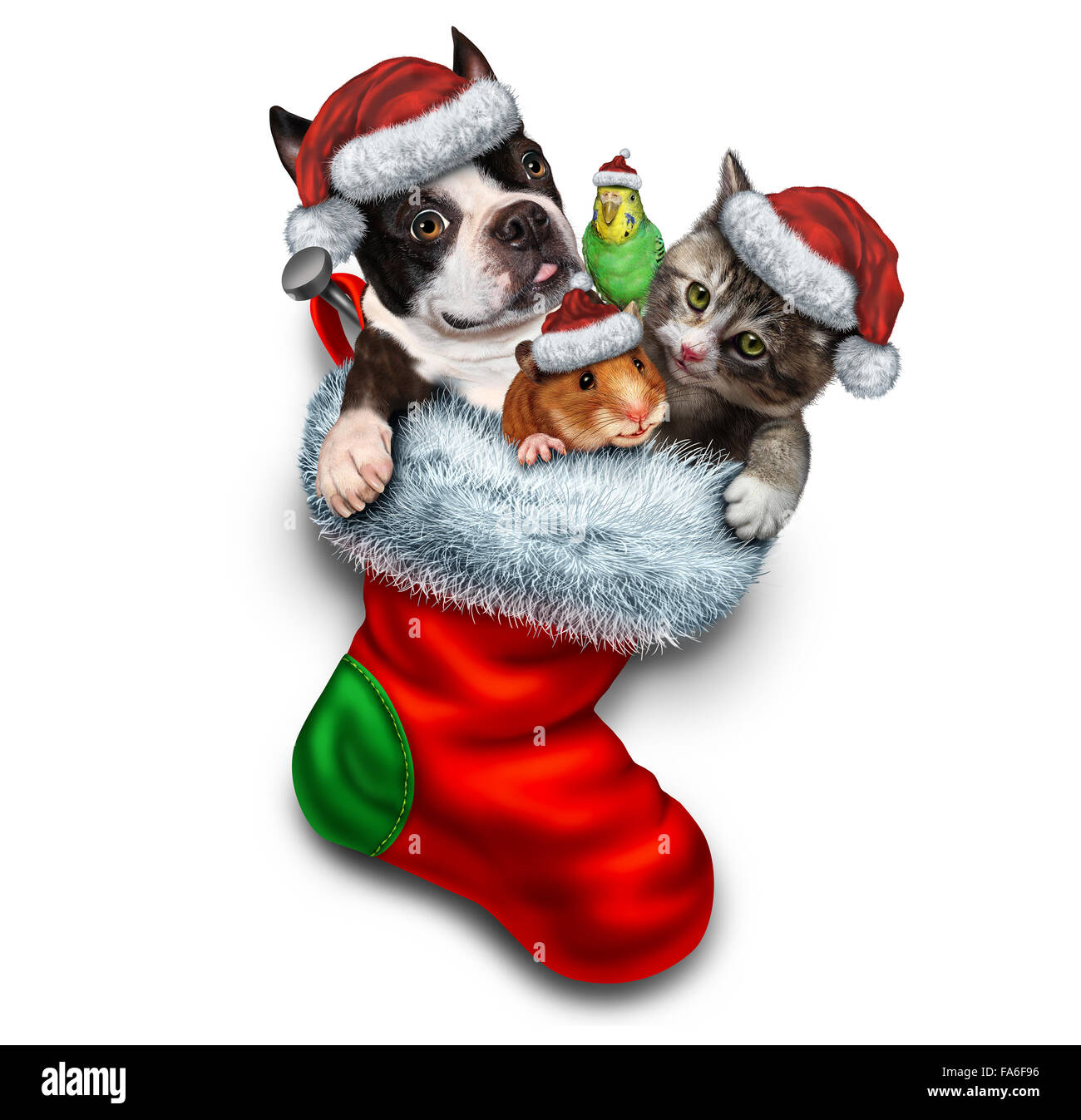 Haustier Urlaub Strumpf und Weihnachten Tiere Gruppe in einer roten festliche Socke für Veterinärmedizin und Pet Store oder Tier Annahme Stockfoto