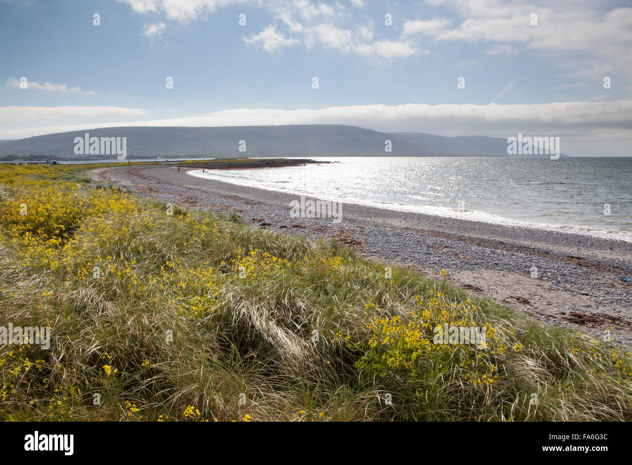 Bischöfe Quartal Strand in der Nähe von Ballyvaughan, County Clare in Irland Stockfoto