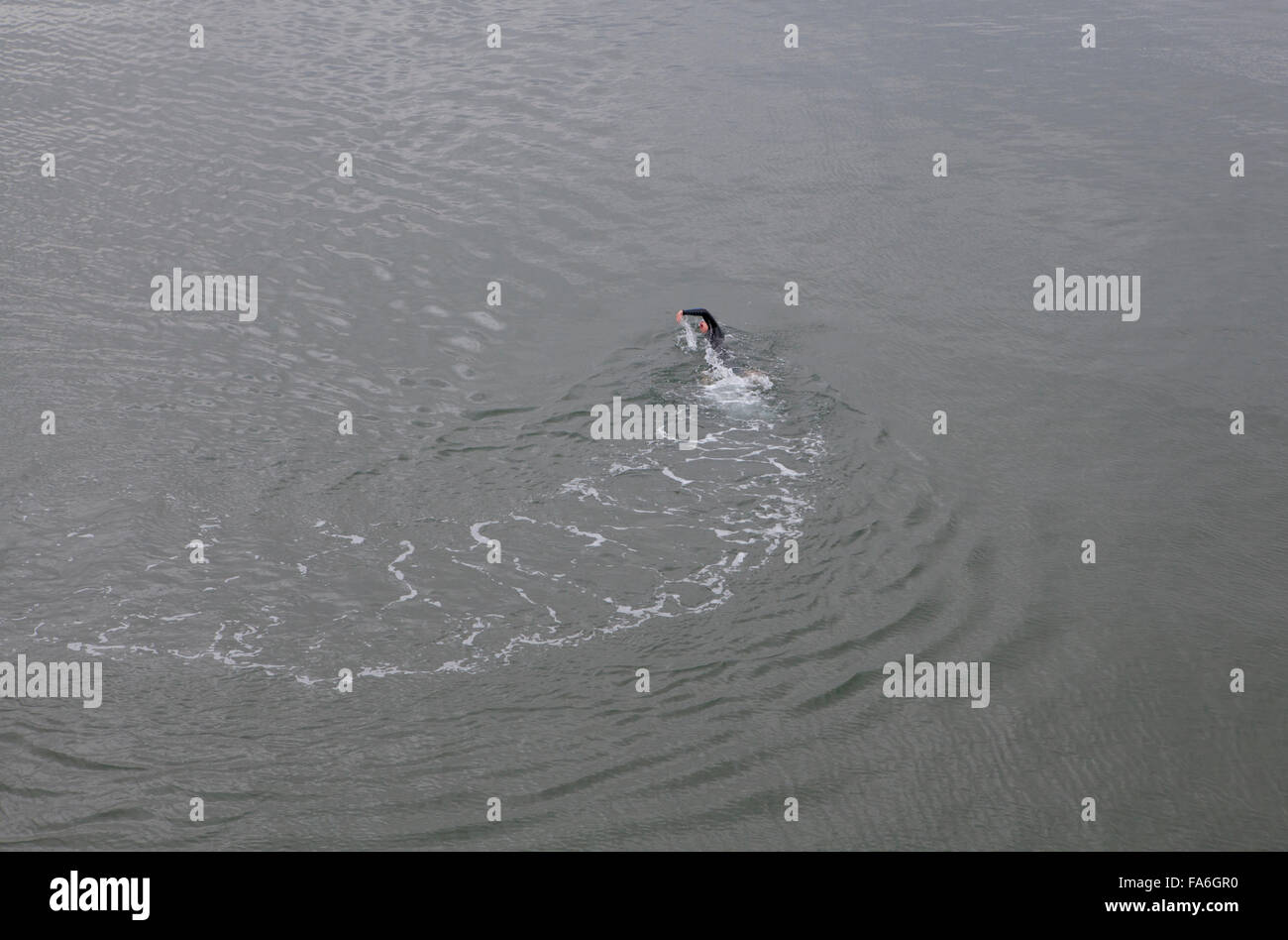 Ein offenes Wasser Schwimmer schwimmt im Meer an Whitby an der Küste von North Yorkshire Stockfoto