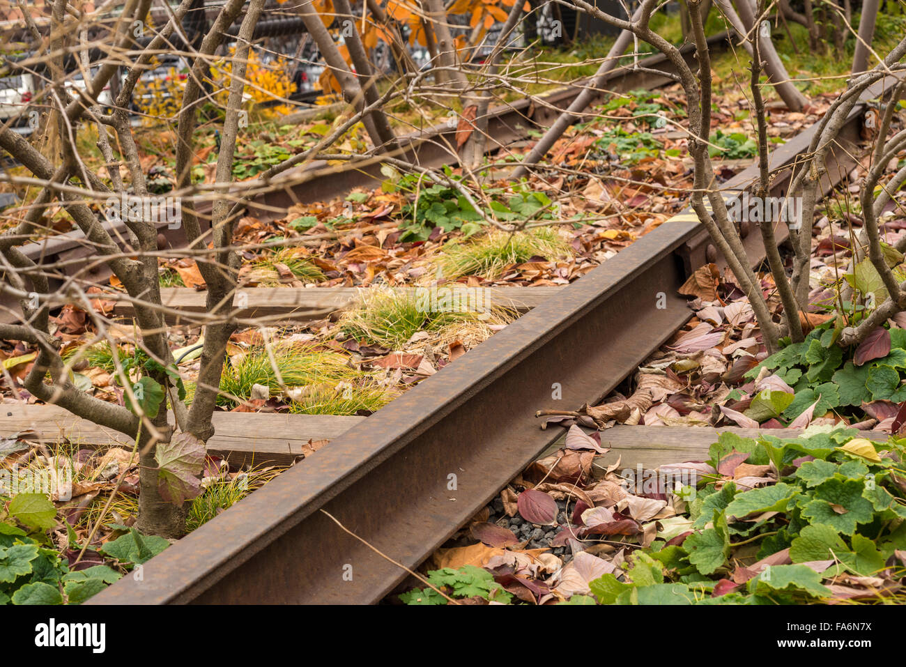 Stillgelegten Eisenbahnlinie, die überwuchert geworden Stockfoto