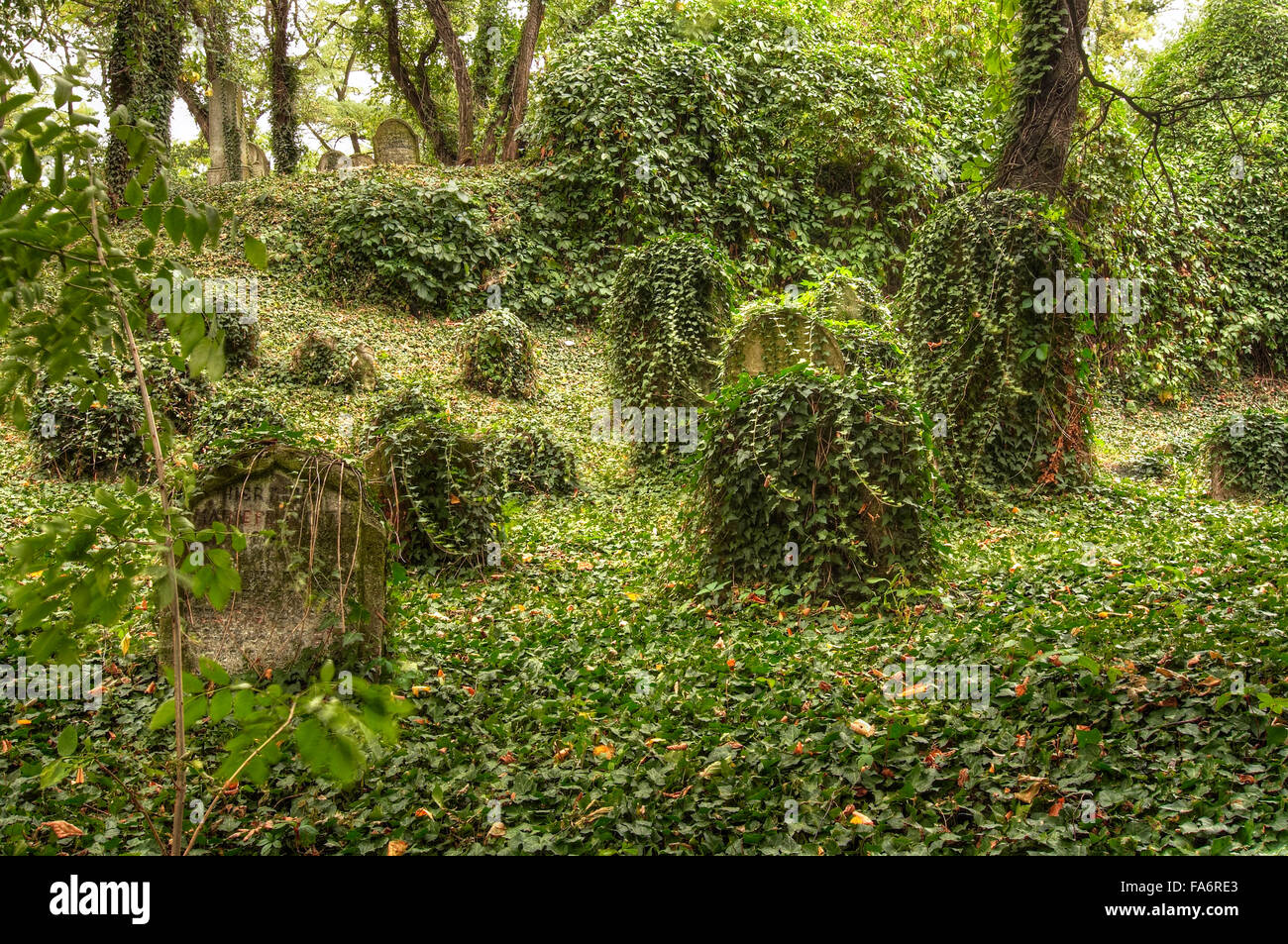 Der alte jüdische Friedhof in Kolin Stockfoto