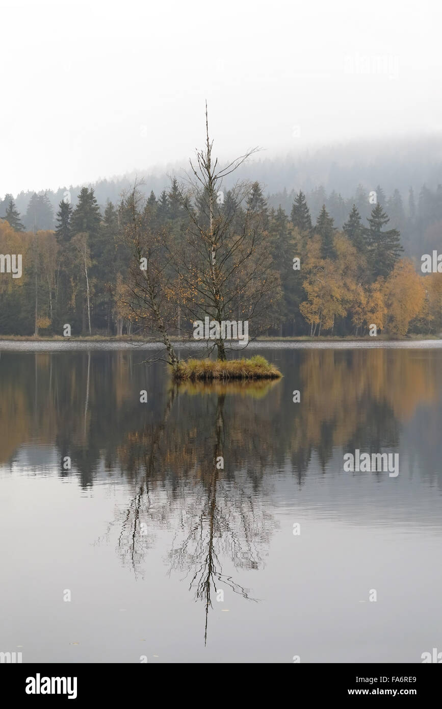 Schwimmende Insel auf dem See - Kladska Torf - Glatzener Moor Stockfoto