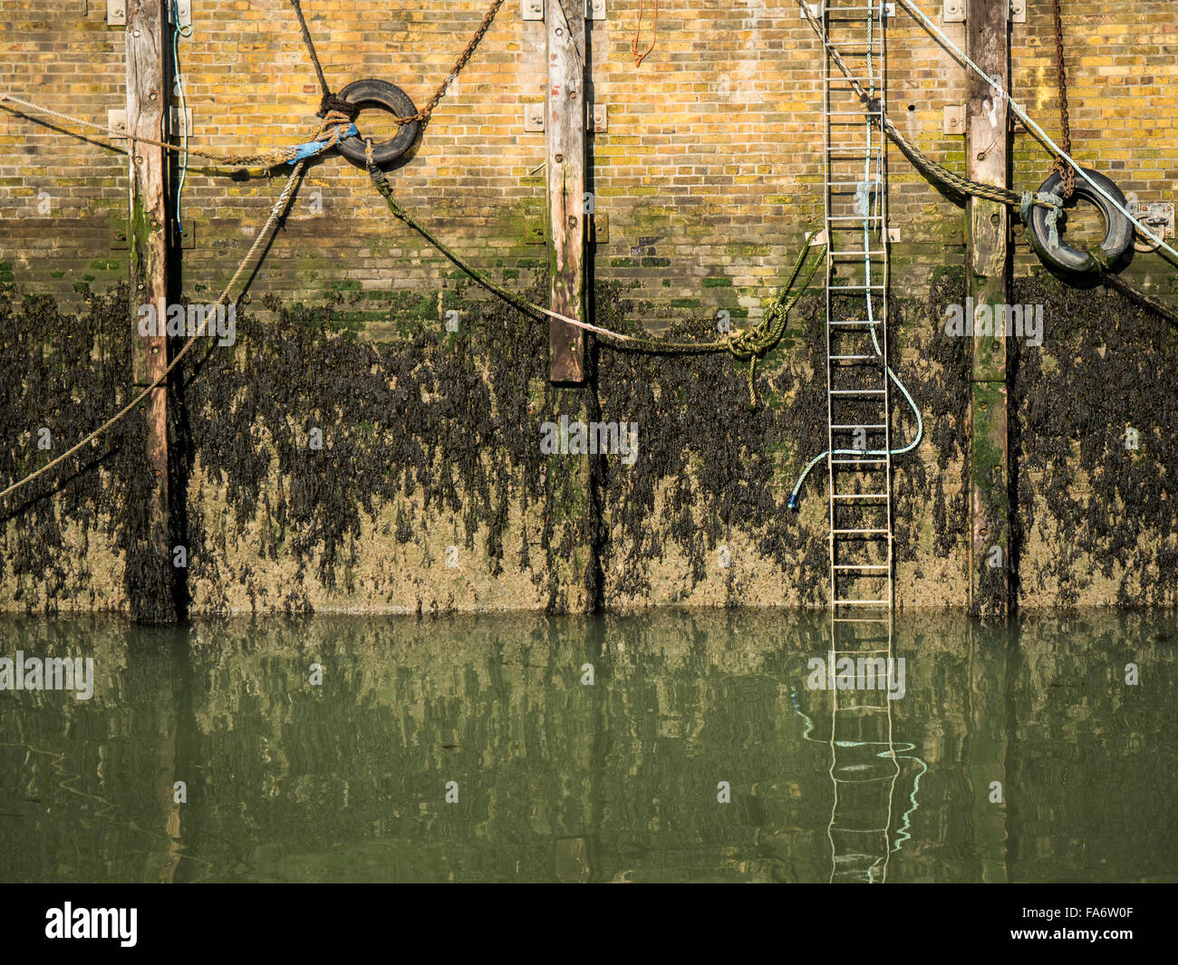 Leiter und zwei alte Reifen Whitstable Hafen Wand, Whitstable, Kent, UK Stockfoto