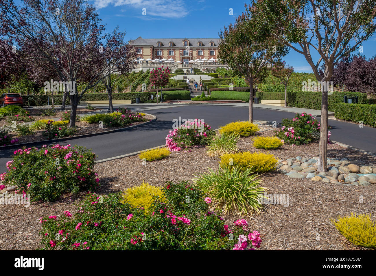 Schloss am Domaine Carneros, Duhig Road, Napa Valley, Napa County, Kalifornien, USA, Nordamerika Stockfoto