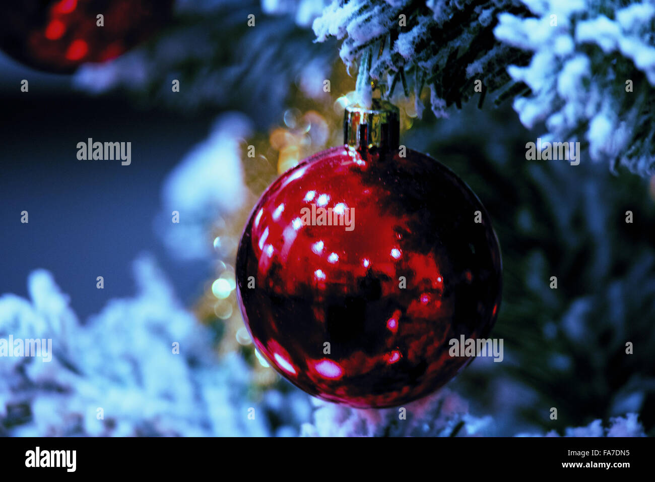 Rote Kugel am Weihnachtsbaum. Frohe Weihnachten und glückliches neues Jahr Stockfoto
