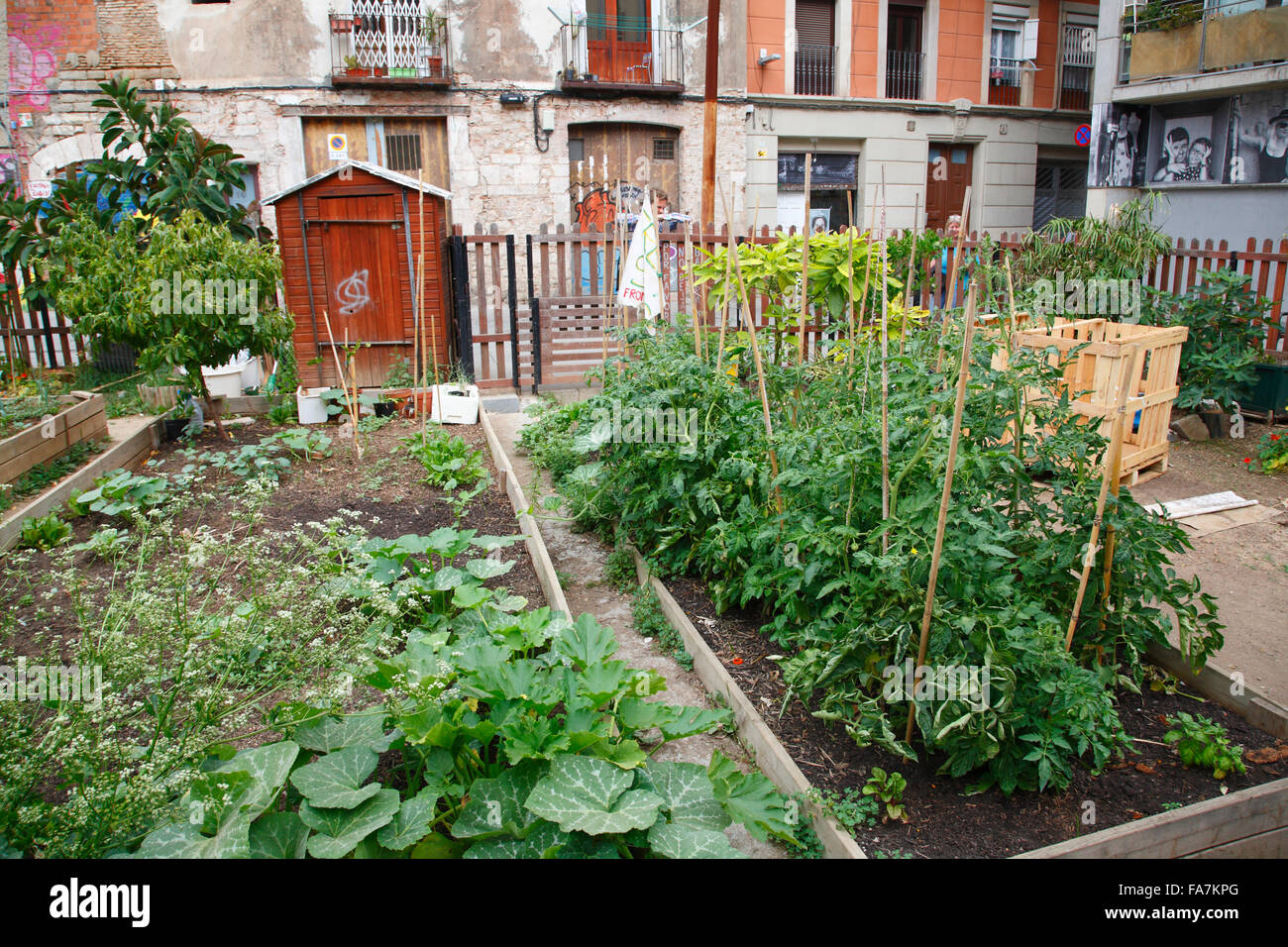 Urban Gardening, El geboren, Barcelona, Spanien, Europa Stockfoto