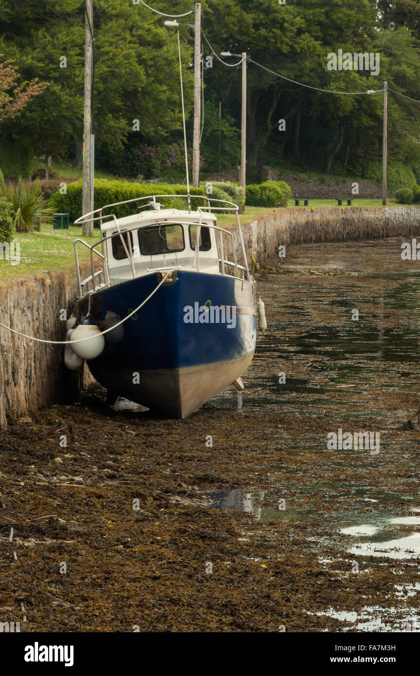 Blaues Fischerboot bei Ebbe, Hafen von Kenmare, Kenmare, County Kerry, Irland Stockfoto