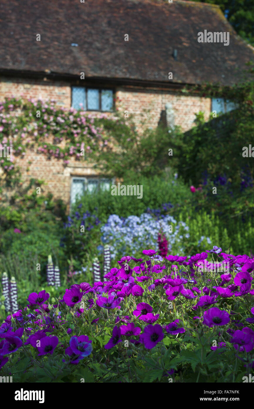 Die Gärten im Juli auf Sissinghurst Castle, Kent. Sissinghurst erlangte internationale Bekanntheit in den 1930er Jahren, Vita Sackville-West und Harold Nicolson dort einen Garten erstellt. Stockfoto