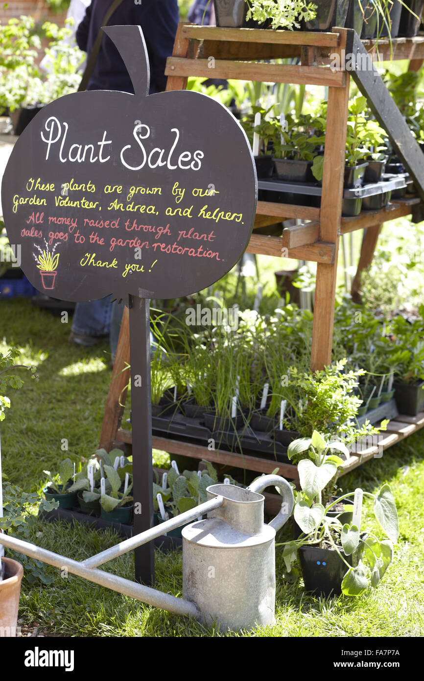 Pflanzenverkauf im Mai in den Schinken Haus und Garten, Surrey. Stockfoto