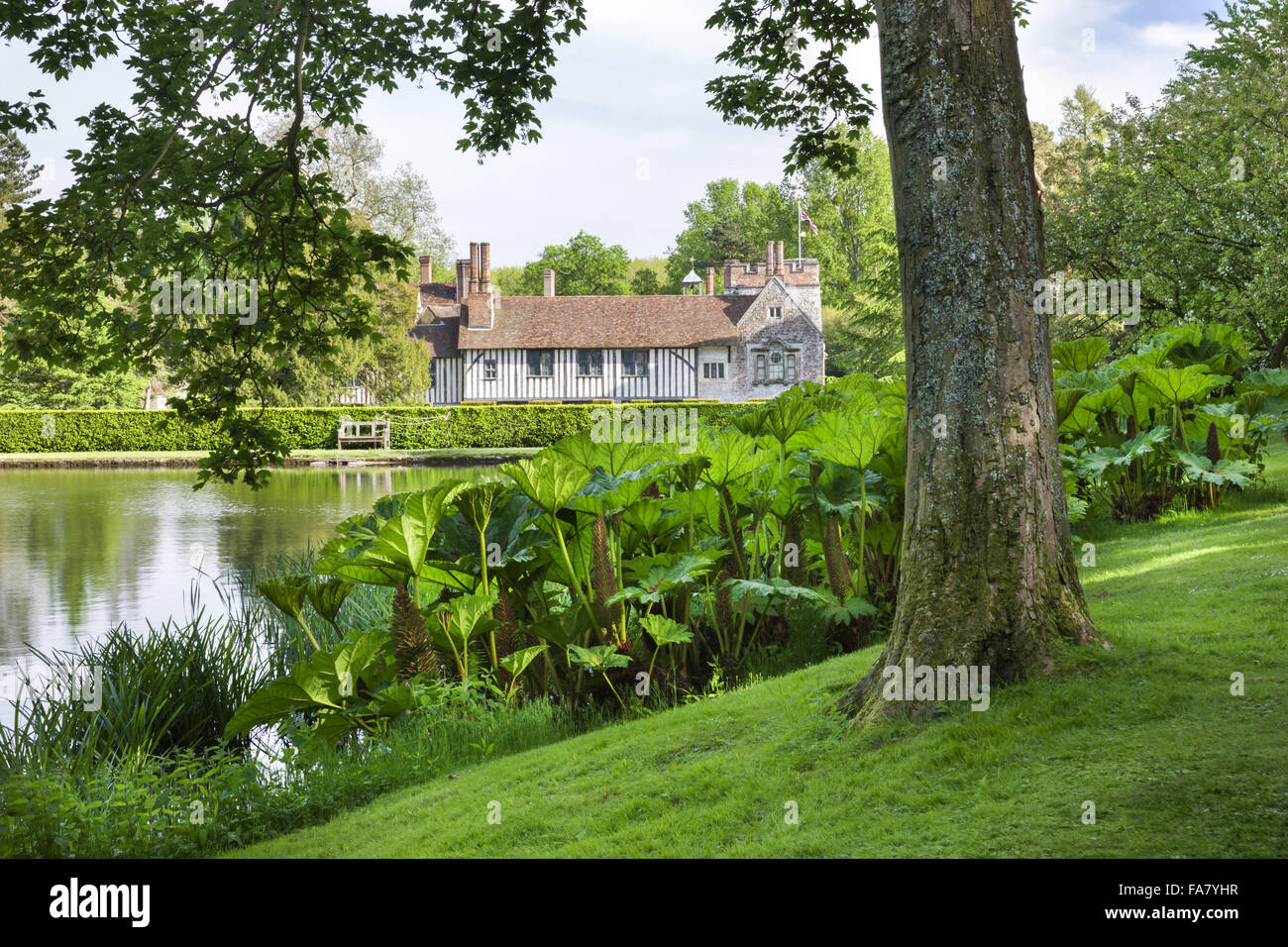 Die Nordfront aus dem Garten an Ightham Mote, Kent mit Gunnera Manicata im Vordergrund Stockfoto