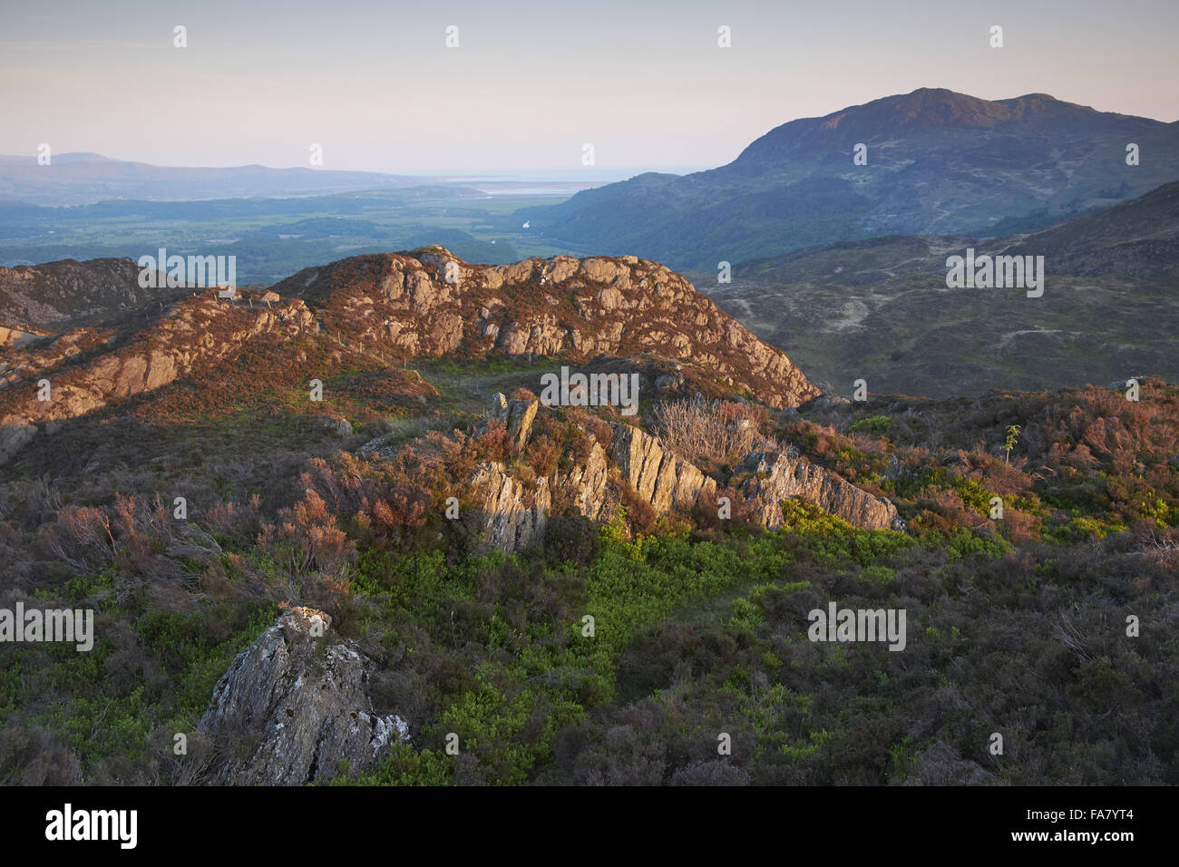 Auf der Suche nach Süd-west von den Höhen der Llyndy Isaf. Tremadog Bucht in der Ferne, ist Moel Hebog (782 m) auf der rechten Seite. Frühsommer am Abend Stockfoto