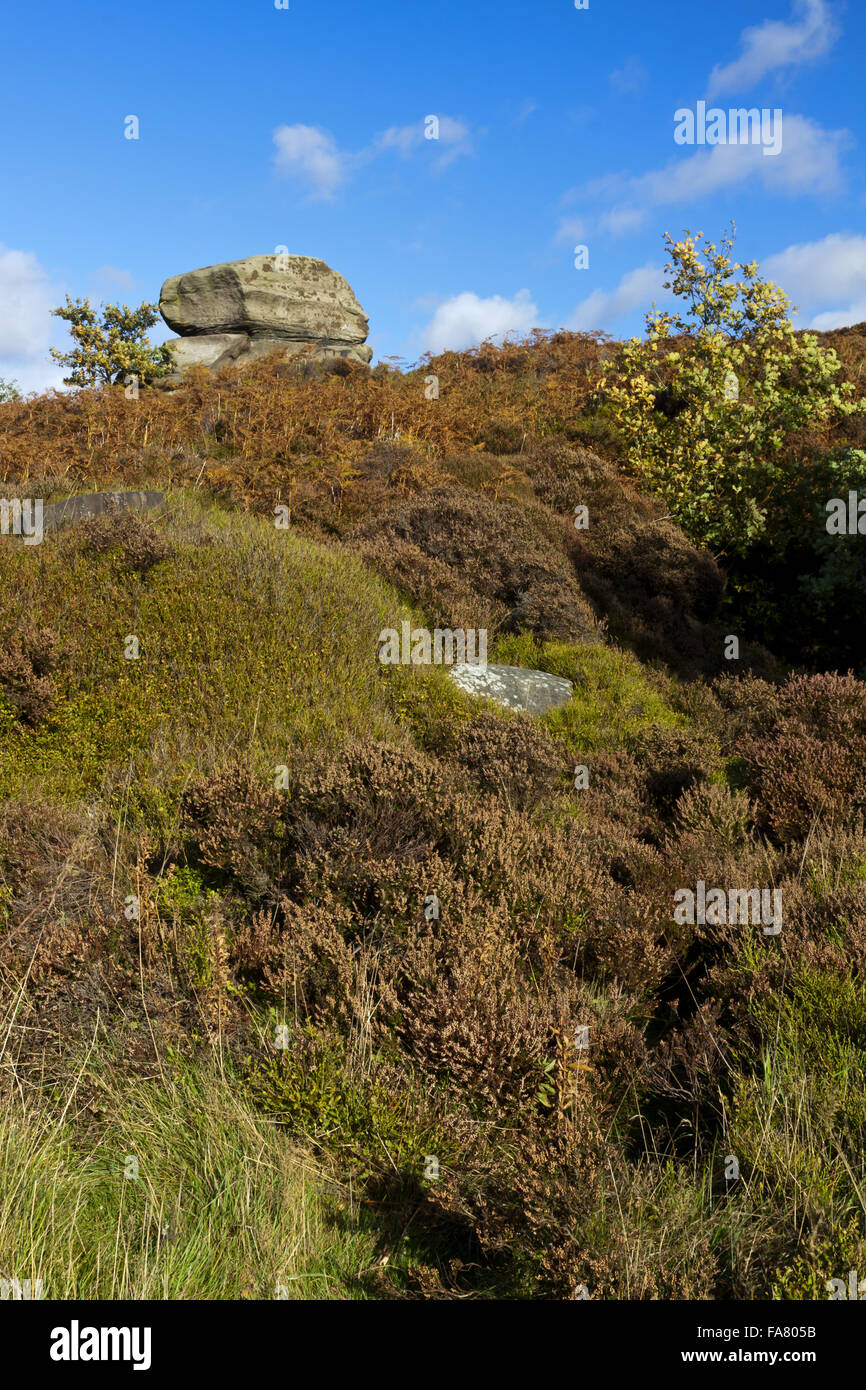 Rock on Stanton Moor Edge in White Peak Derbyshire Stockfoto