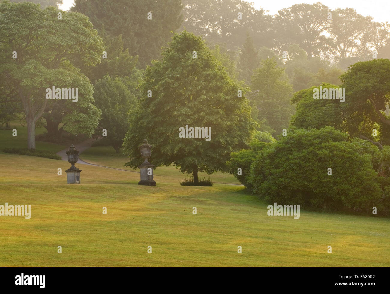 Der Rasen und Bäumen im Garten am Killerton, Devon, im Morgenlicht im Juli. Der Garten ist erstellt von John Veitch, Killerton Highlight. Stockfoto