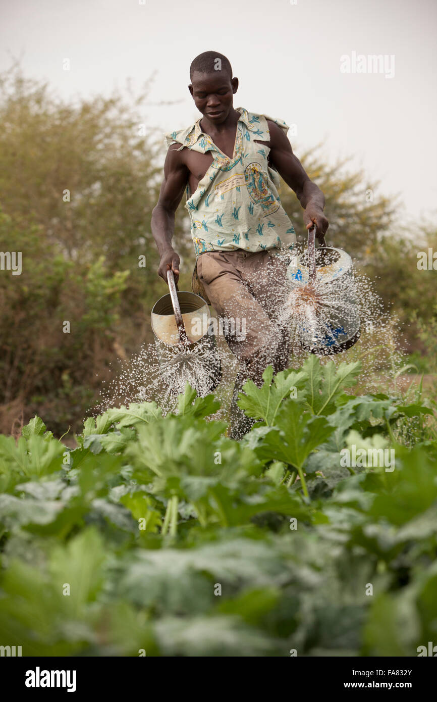 Ein Kleinbauer Gewässer seinen Gemüsegarten in Di-Abteilung, Burkina Faso. Stockfoto