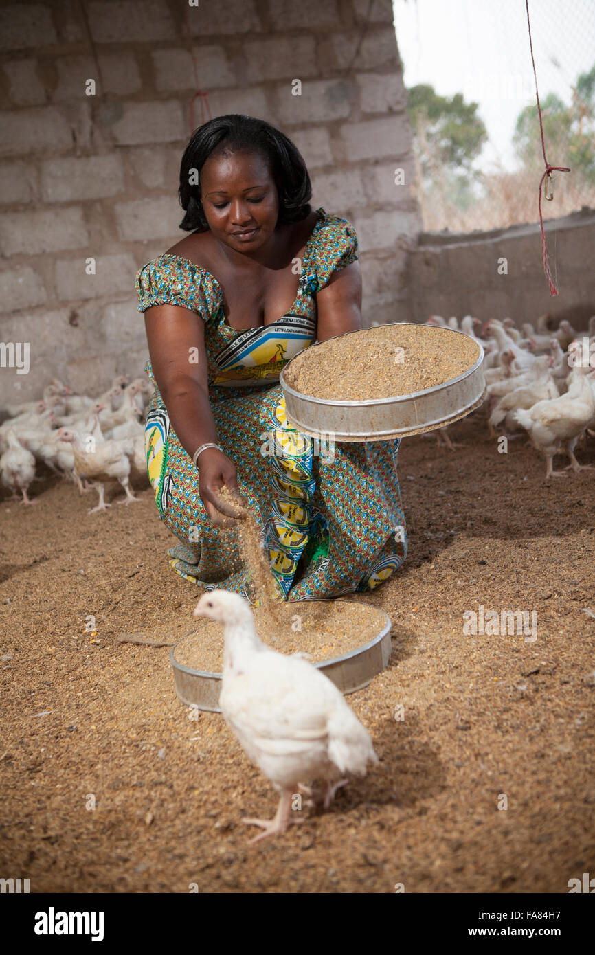 Traoré Nadine ist ein Huhn Bauer in Samaga Dorf in Burkina Faso. Stockfoto