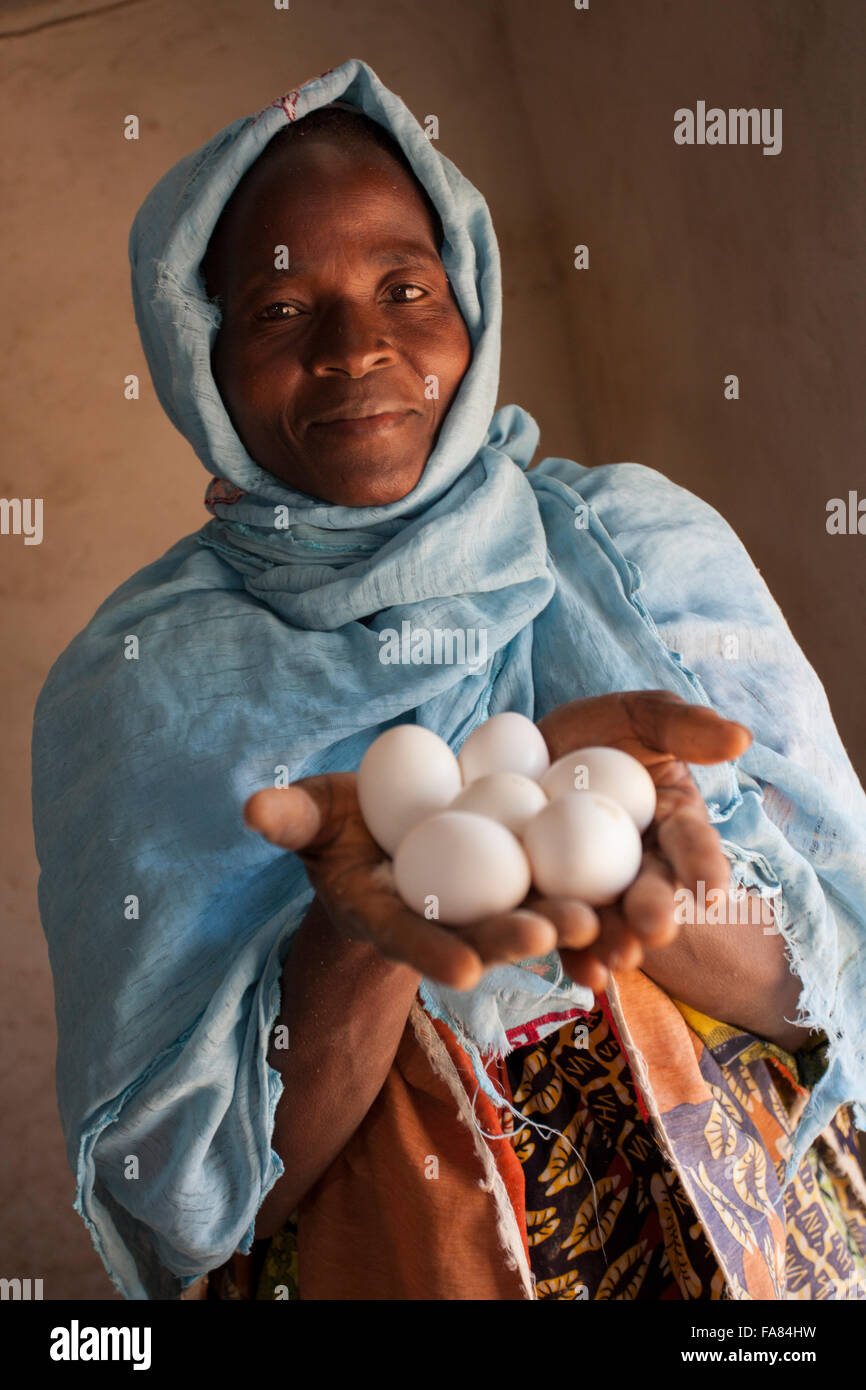 Eine Frau legte eine hält frischen Eiern durch ihre Hühner in Tengréla Dorf, Burkina Faso. Stockfoto