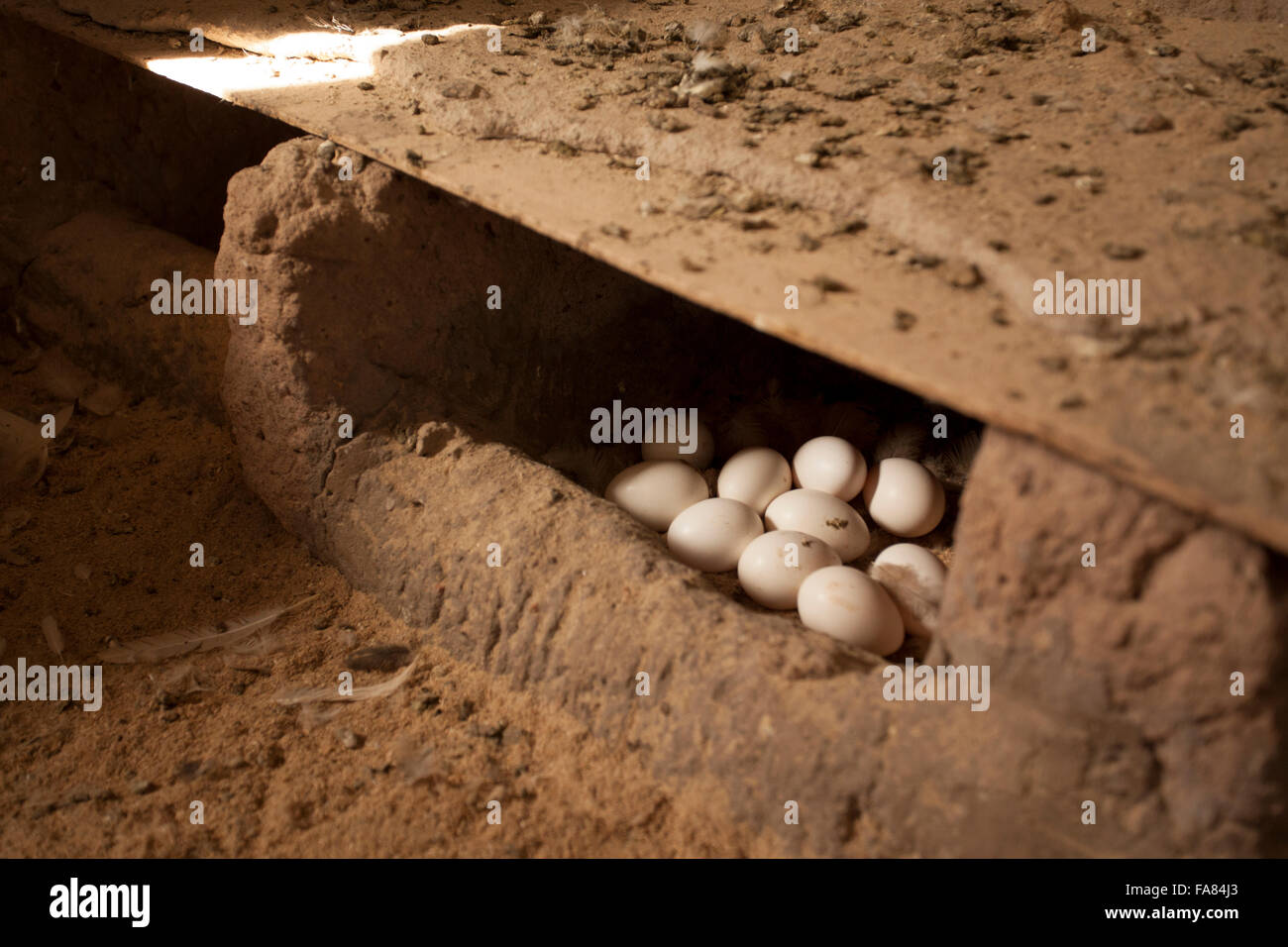 Frische Eiern lag in einer Scheune in Tengréla Dorf in Burkina Faso. Stockfoto