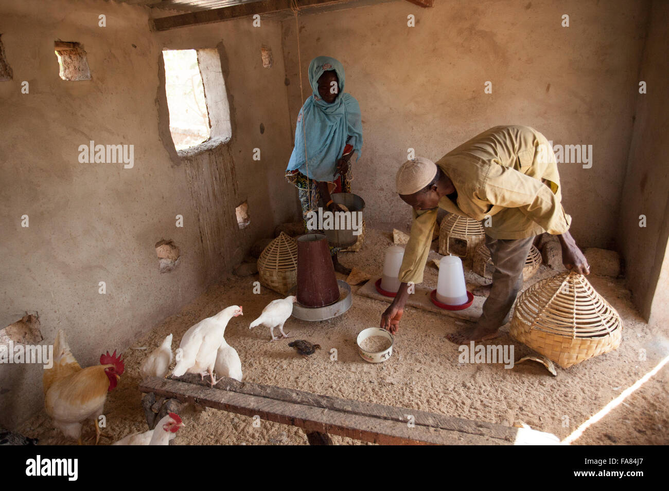Bauern arbeiten im familiären Stall in Tengréla Dorf in Burkina Faso. Stockfoto
