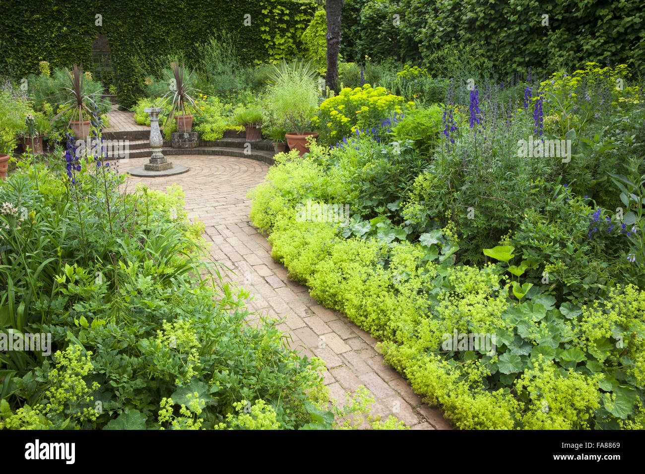 Alchemilla Mollis, Aconitums und Euphorbien in Frau Winthrop Garten von