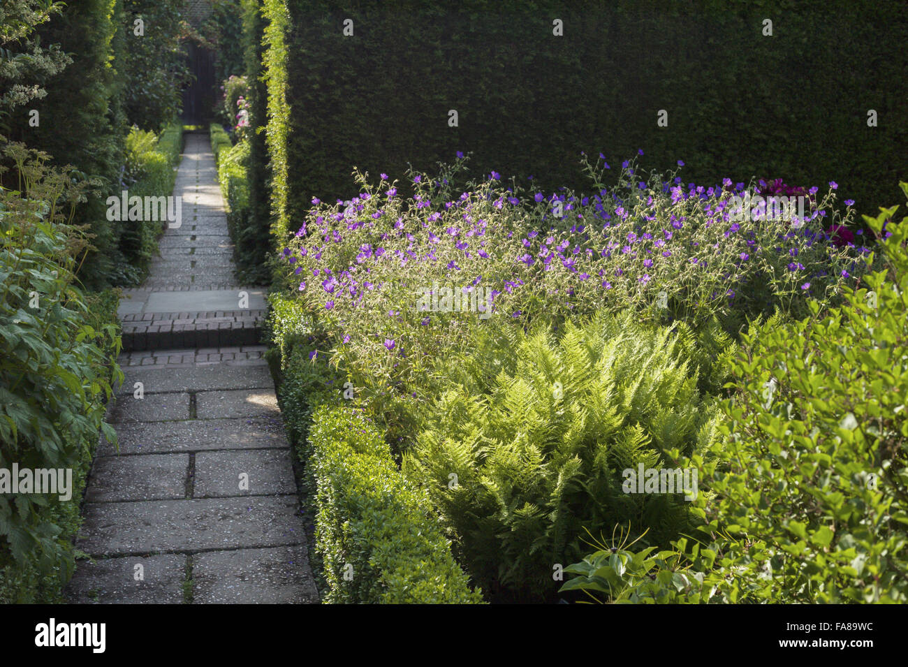 Ein Weg durch die Gärten im Juli auf Sissinghurst Castle, Kent. Sissinghurst erlangte internationale Bekanntheit in den 1930er Jahren, Vita Sackville-West und Harold Nicolson dort einen Garten erstellt. Stockfoto