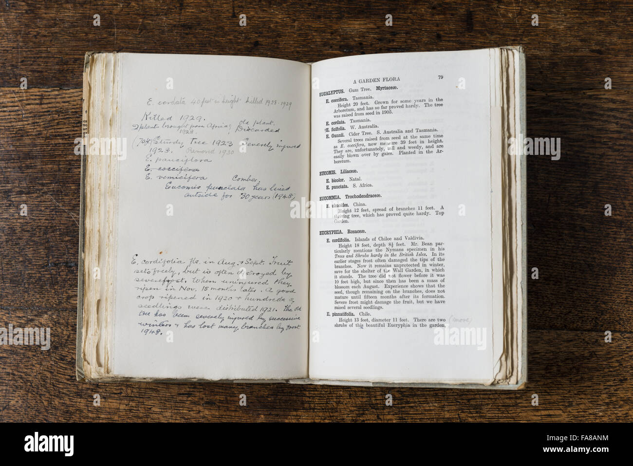 Offenes Buch mit dem Titel "A Garden Flora: Bäume und Blumen in den Gärten bei Nymans von L. Messel, 1918, mit handschriftlichen Anmerkungen, aus den Sammlungen bei Nymans, West Sussex angebaut. Das Buch wurde illustriert von Alfred Parsons, enthalten ein Vorwort von William Stockfoto