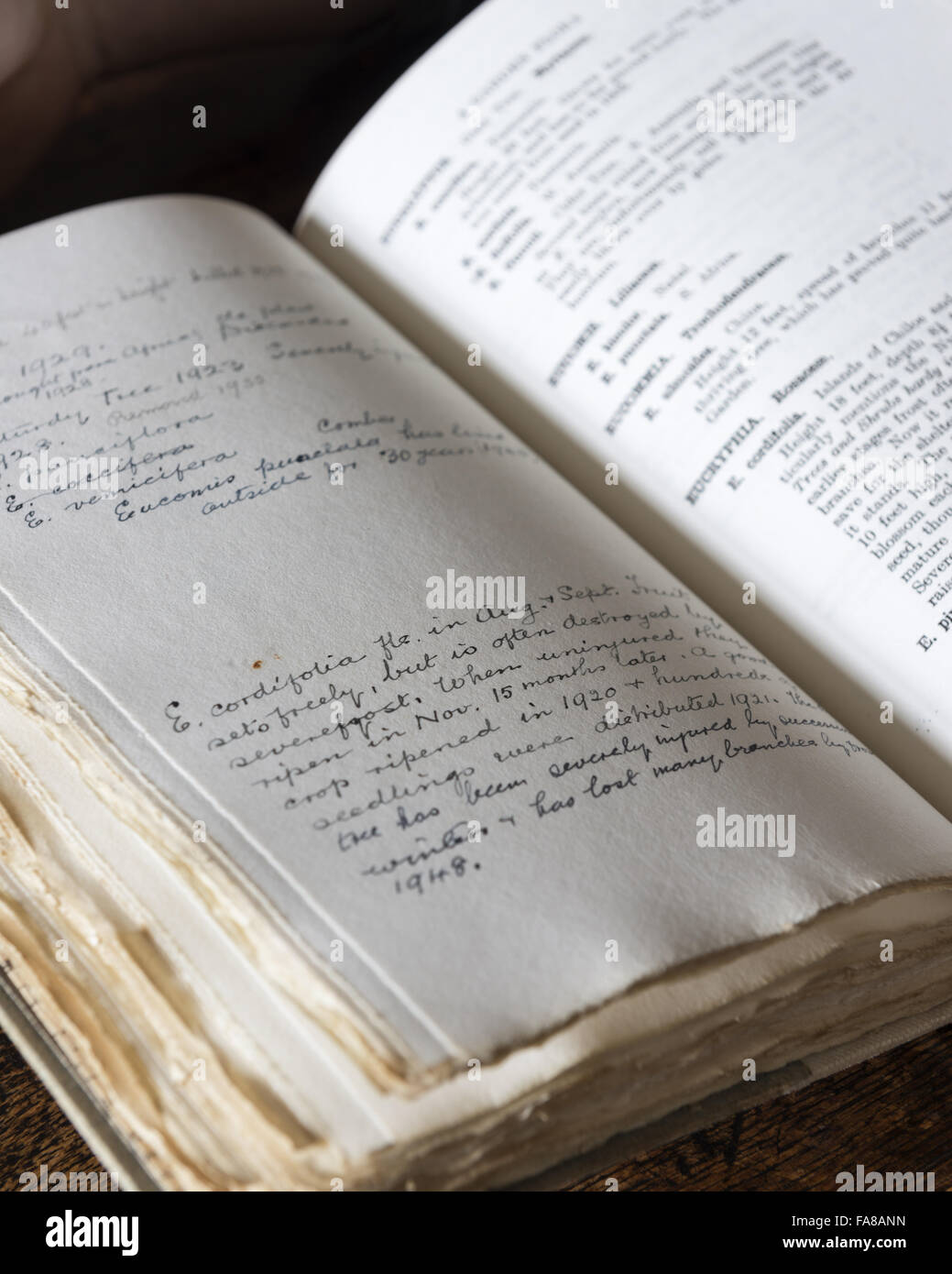 Offenes Buch mit dem Titel "A Garden Flora: Bäume und Blumen in den Gärten bei Nymans von L. Messel, 1918, mit handschriftlichen Anmerkungen, aus den Sammlungen bei Nymans, West Sussex angebaut. Das Buch wurde illustriert von Alfred Parsons, enthalten ein Vorwort von William Stockfoto