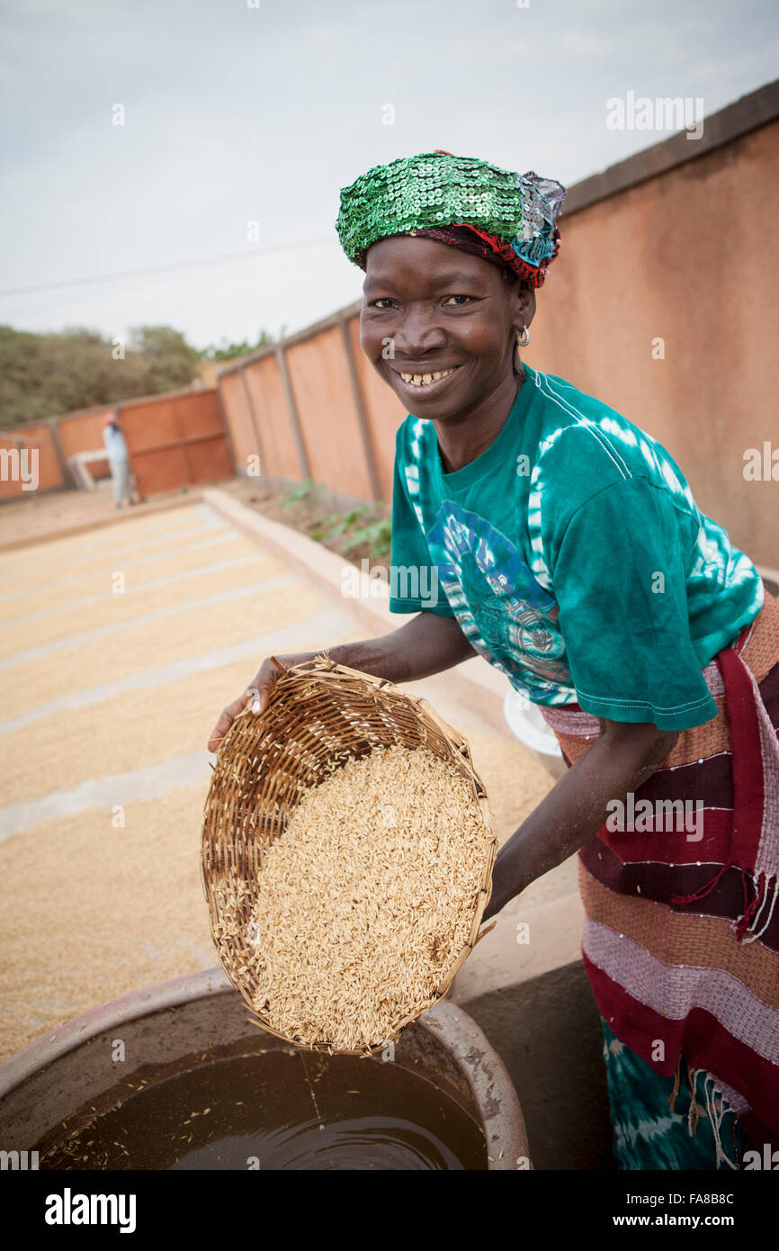 Reis ist parboiled, vor dem Verkauf an eine Gruppe Verarbeitung Frauenzentrum in Sourou Provinz, Burkina Faso. Stockfoto