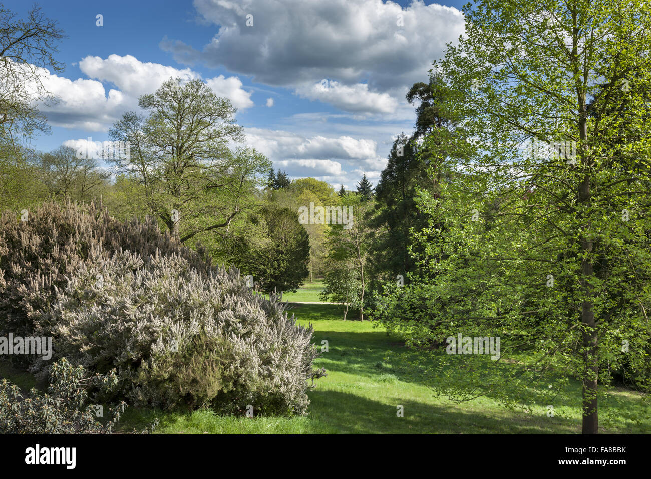 Blick von der Terrasse der Kamelie am Claremont Landschaftsgarten, Surrey. Stockfoto