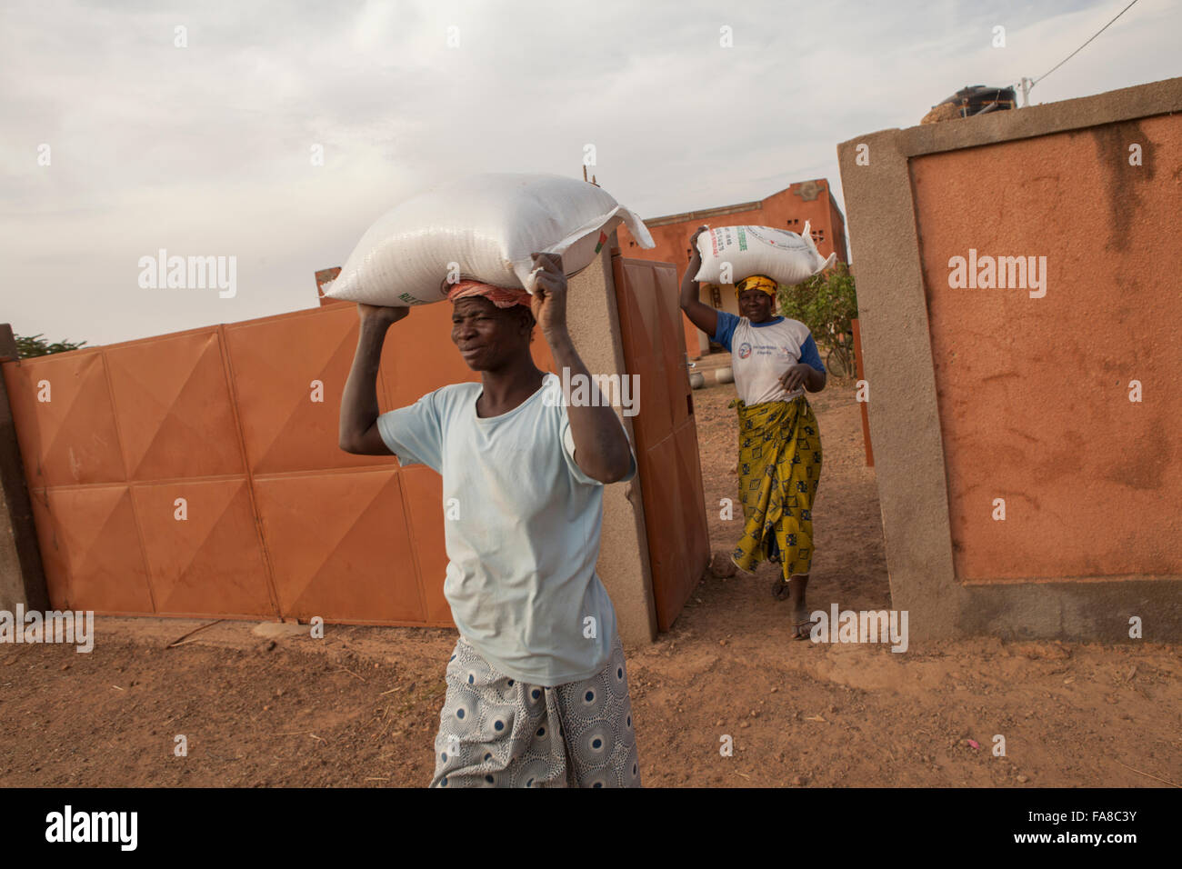 Frauen tragen Säcke Reis aus dem Lager an eine Gruppe Verarbeitung Frauenzentrum in Sourou Provinz, Burkina Faso. Stockfoto