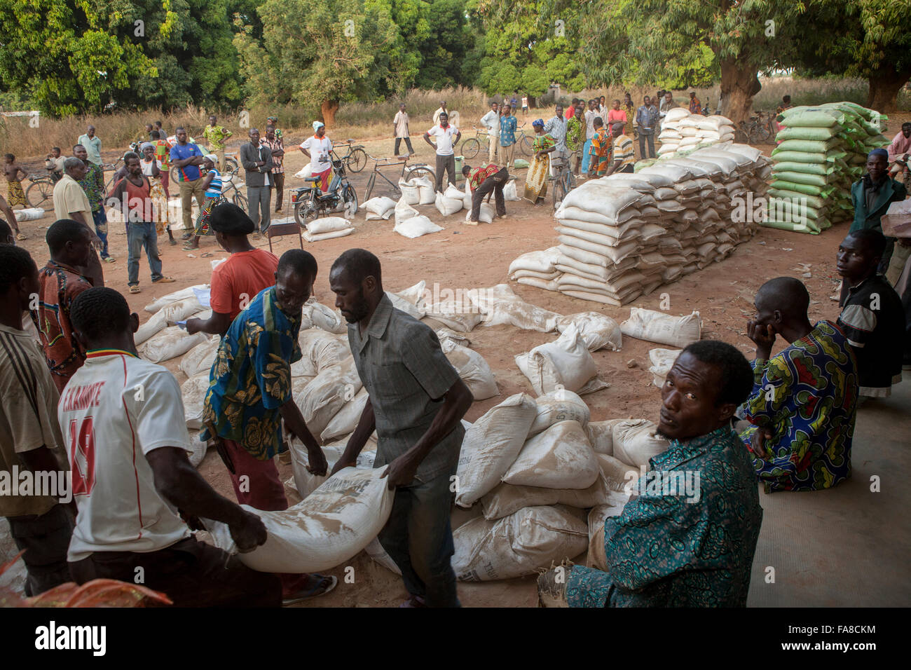 Kleinbauern erhalten Säcke von Saatgut und Dünger auf eine Verteilung in Banfora Abteilung, Burkina Faso. Stockfoto