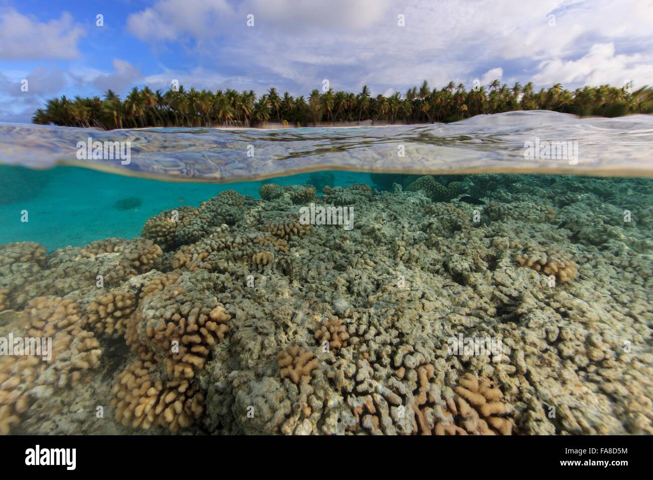 Unterwasser- und Oberfläche Sicht auf Korallenriff auf Palmerston Atoll, Cook-Inseln Stockfoto