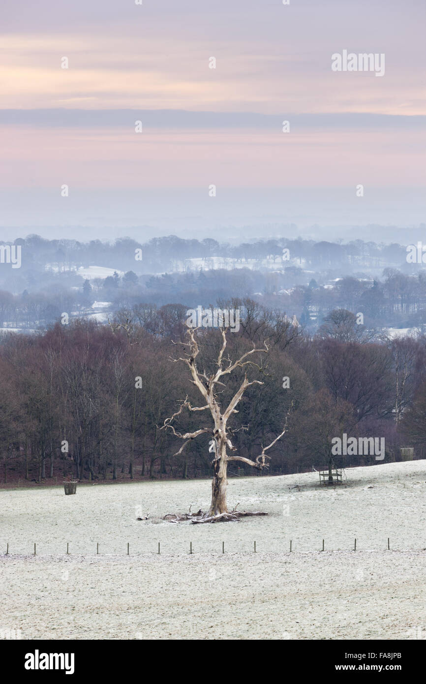 Der Blick aus dem Garten über den Park im Winter in Chirk Castle, Wrexham. Stockfoto