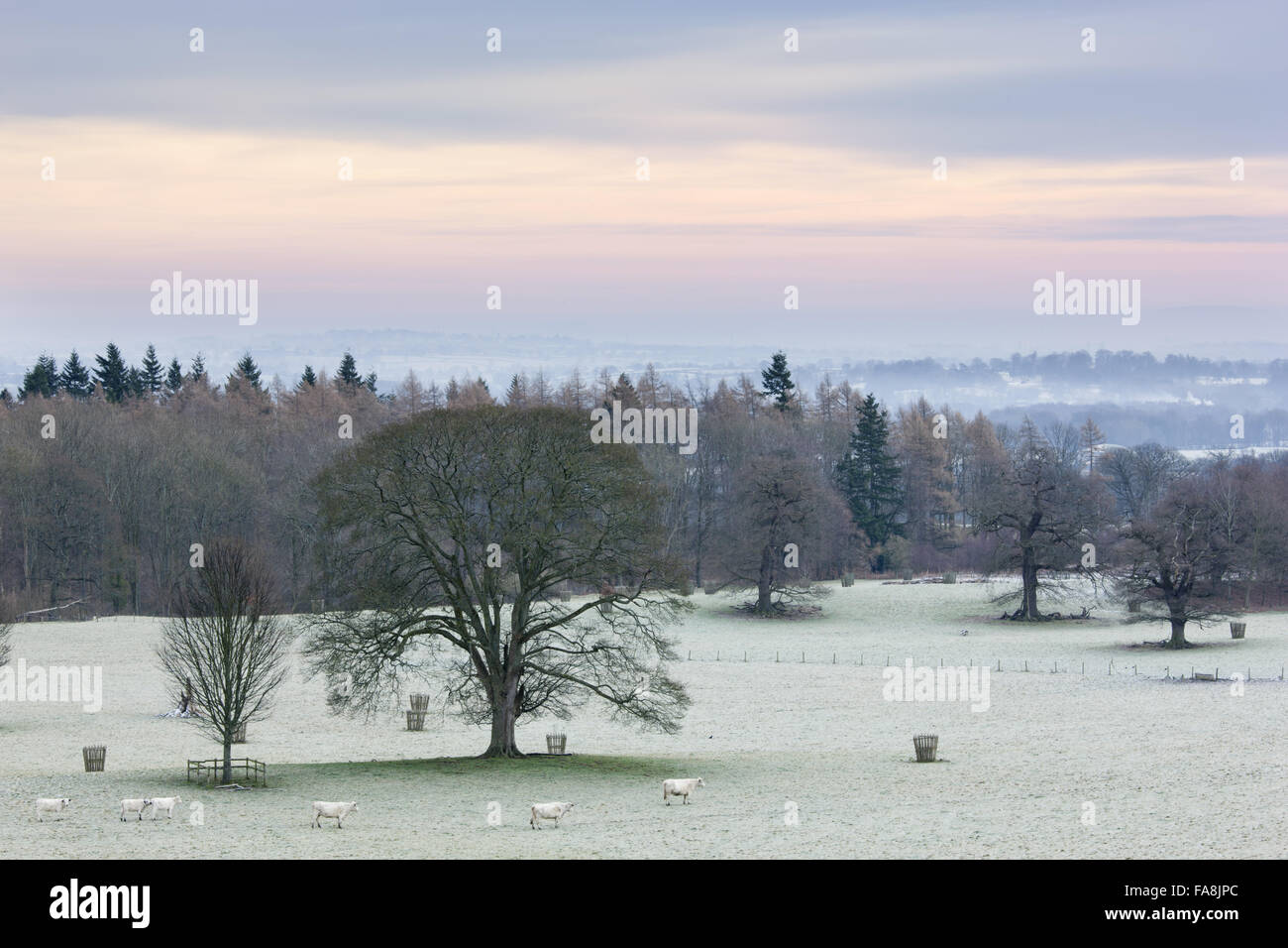 Der Blick aus dem Garten über den Park im Winter in Chirk Castle, Wrexham. Stockfoto