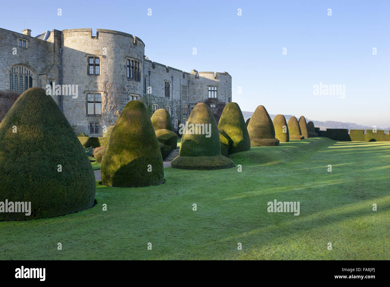 EibenHecke in der Gartenanlage an der Ostfassade von Chirk Castle