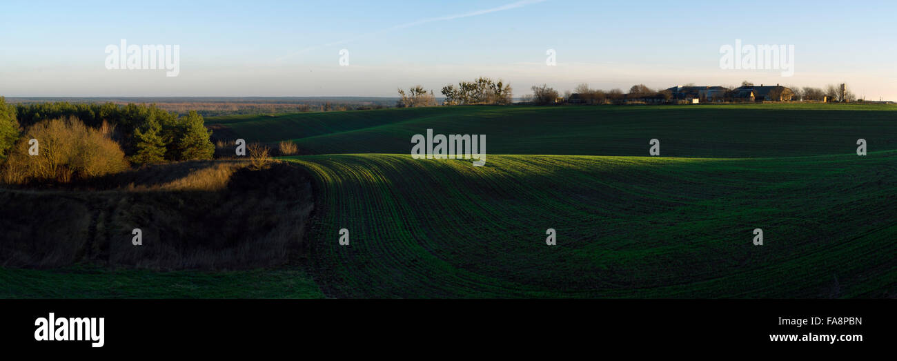 Landschaft im ländlichen Raum. Grüne Wiesen, Ackerland und Dorf Stockfoto