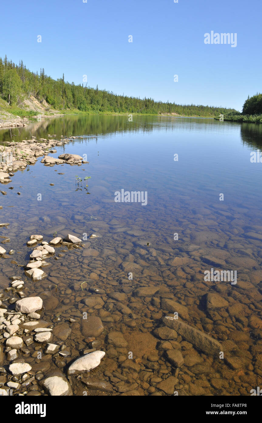 Russland, Polar Ural. Jungfrau Komi Wälder, Taiga Fluss Paga. Stockfoto