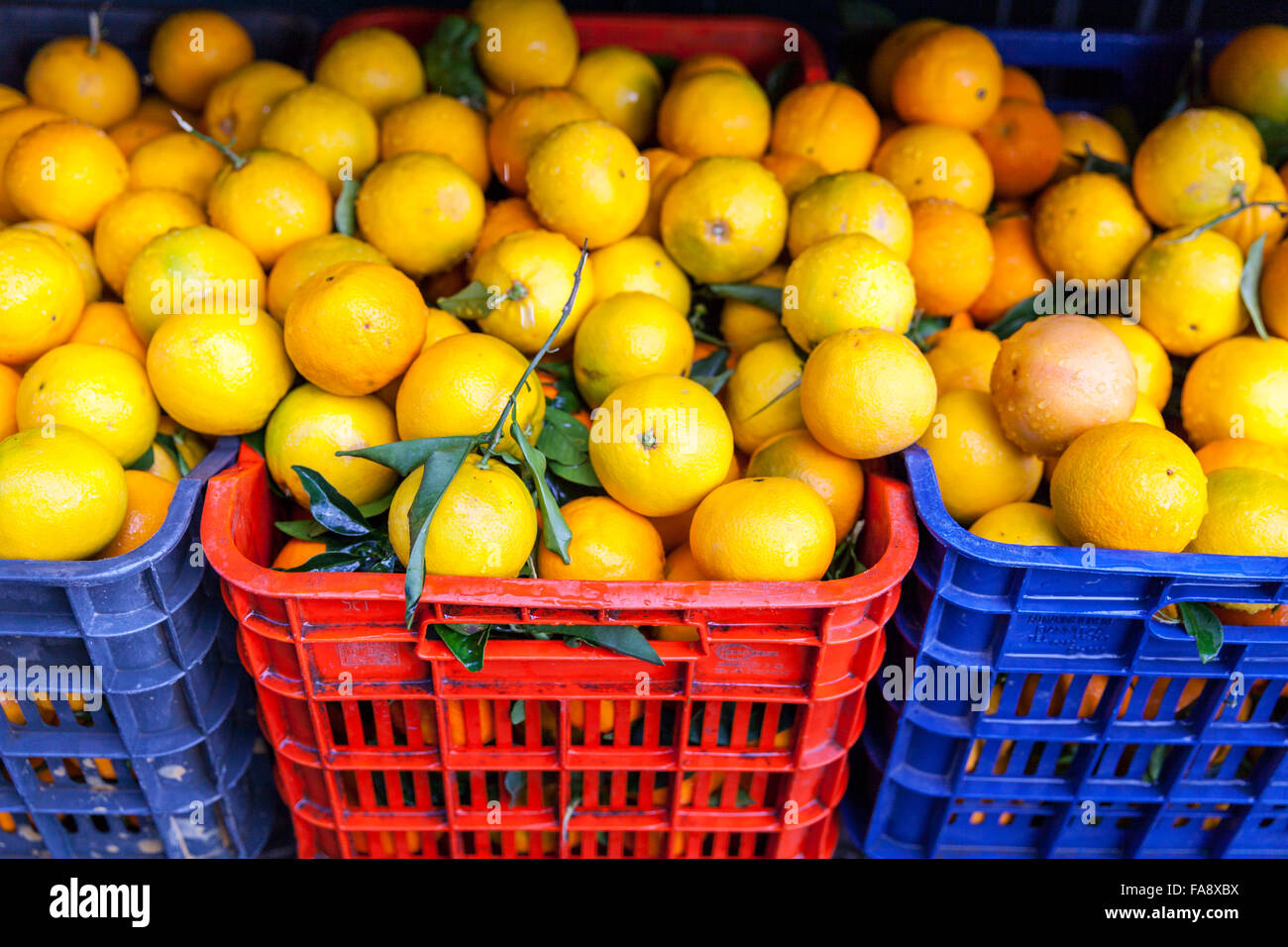 Frische Orangen auf dem Display in bunten Kisten auf einen Lebensmittelmarkt in Athen, Griechenland Stockfoto
