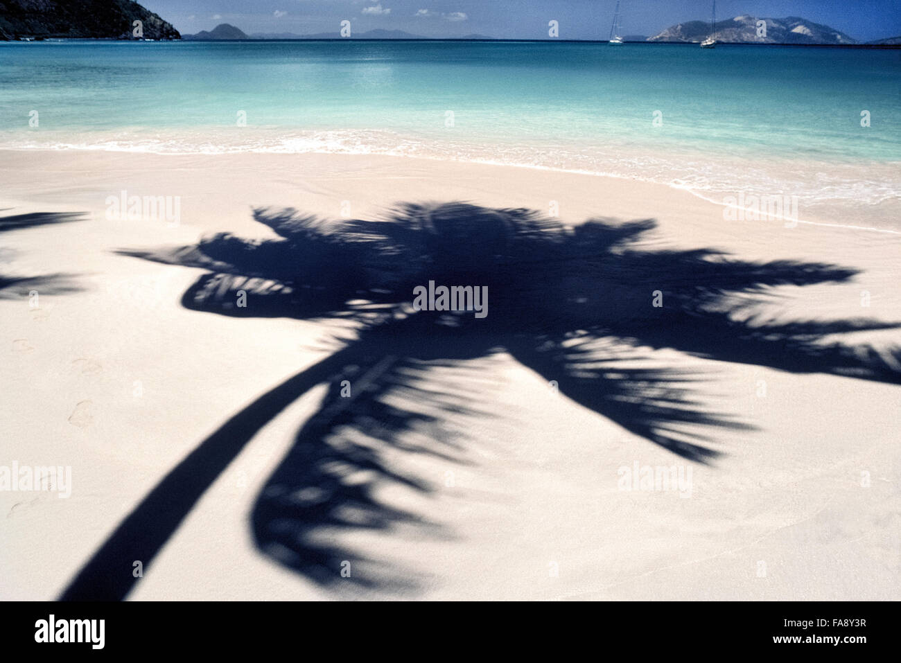 Eine Palme wirft seinen Schatten auf einem weißen Sandstrand, der durch das azurblaue Meer der Karibik in Cane Garden Bay auf Tortola, von den British Virgin Islands größte ein Überseegebiet des Vereinigten Königreichs umspült ist. Die BVIs genannt, sind die Inseln beliebtesten Urlaubsziele für Sonnenanbeter, Sailboaters und Angler. Stockfoto