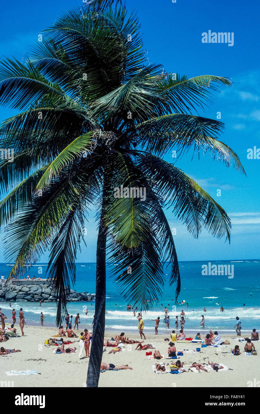 Palmen gesäumte Condado Beach liegt direkt östlich der Hauptstadt von San Juan und eine Lieblings langen weißen Strand zum Sonnenbaden Bewohner sowie Besucher nach Puerto Rico, ein Territorium der Vereinigten Staaten in der Karibik. In der Nähe des Strandes sind viele High-Rise Hotels der Stadt, die bei Touristen sehr beliebt sind. Stockfoto