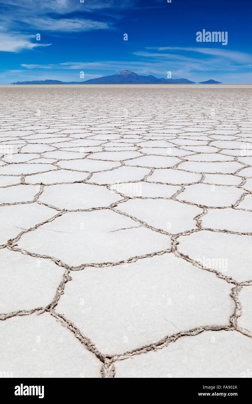 Salar de Uyuni, Potosi Abteilung, bolivianischen Altiplano, Bolivien Stockfoto