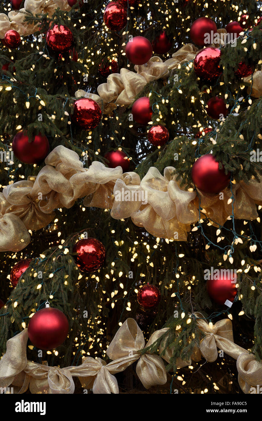 Rote Kugeln mit goldenen Bändern und Lichter auf einen riesigen Outdoor-Weihnachtsbaum Toronto Stockfoto