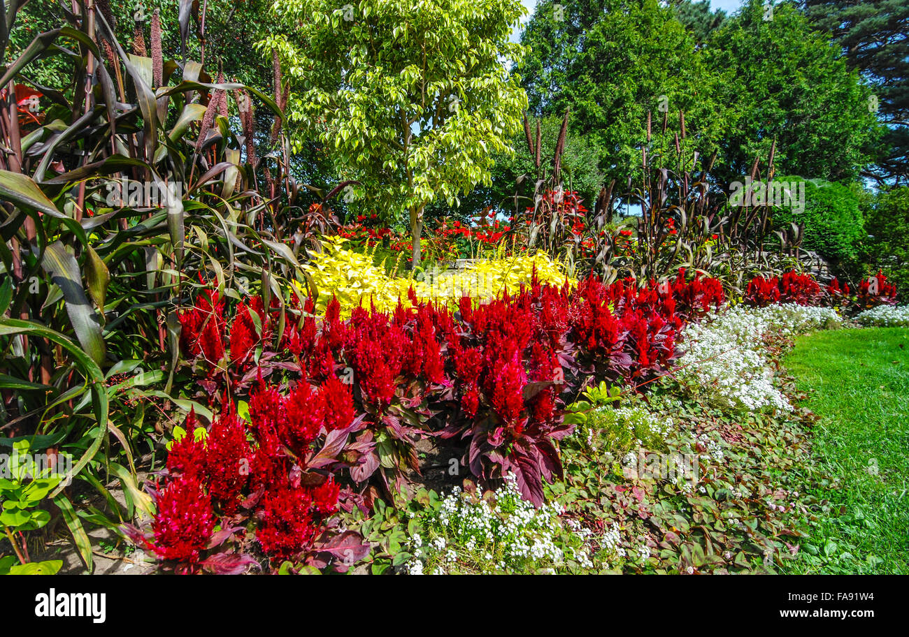 Gärten von Farbe.  Vielzahl von Frühlingsblumen. Stockfoto