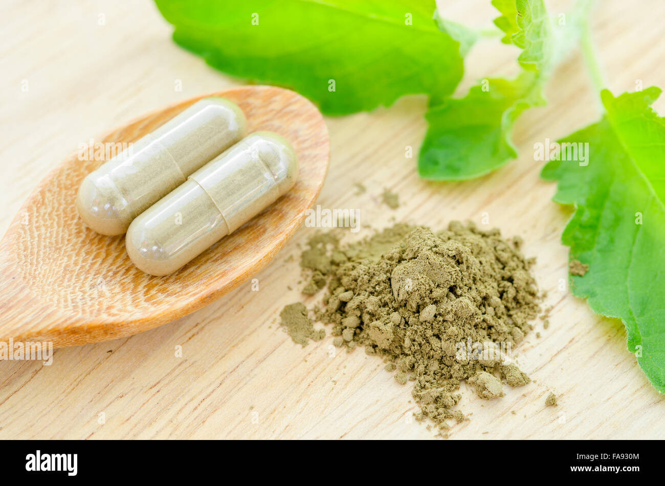pflanzliche Arzneimittel Pulver und Kapseln mit grünen Bio-Kräuter lässt auf hölzernen Hintergrund. Stockfoto