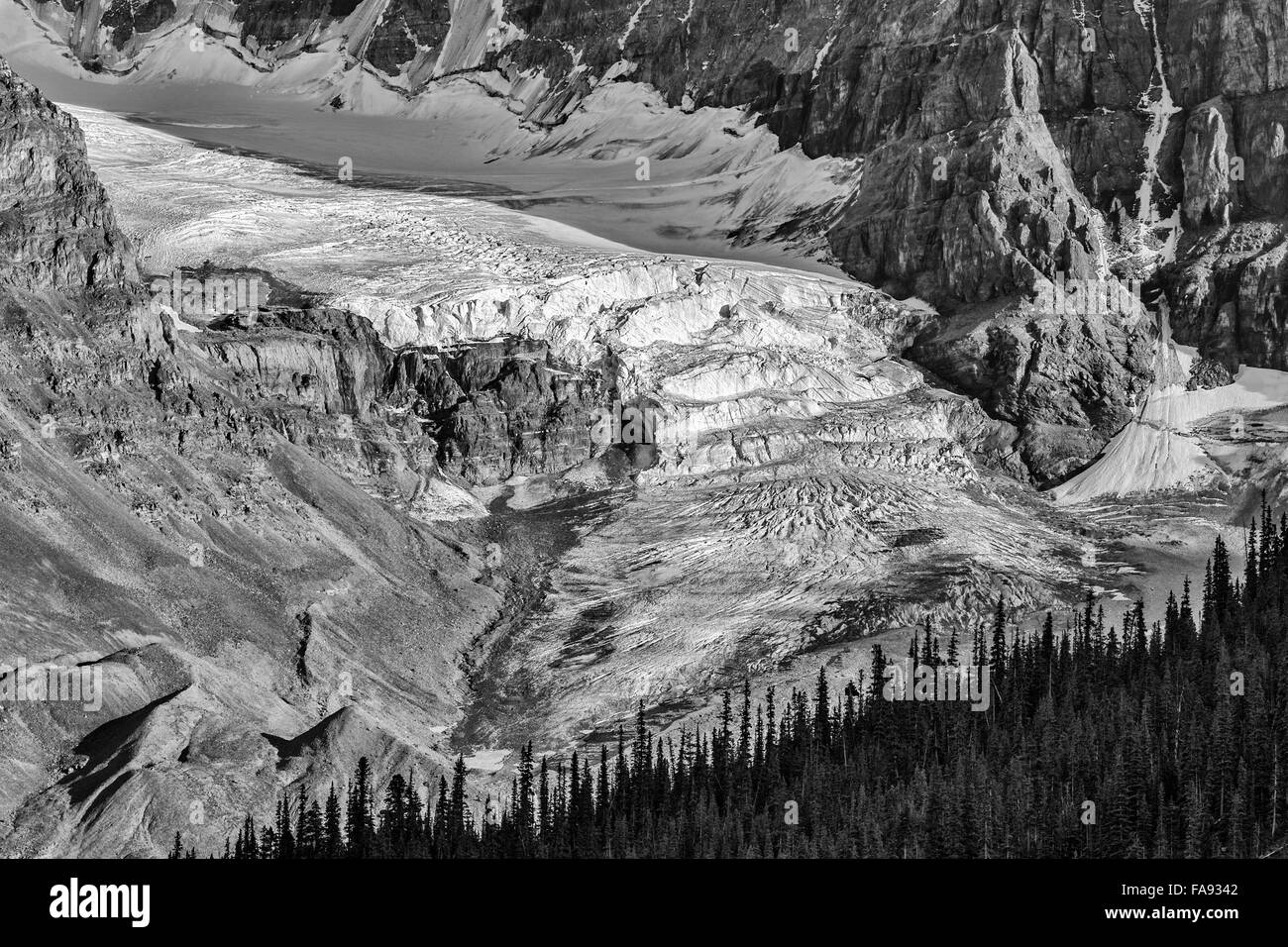 Gletscher am Mount Kitchener, Jasper Nationalpark, Kanada Stockfoto