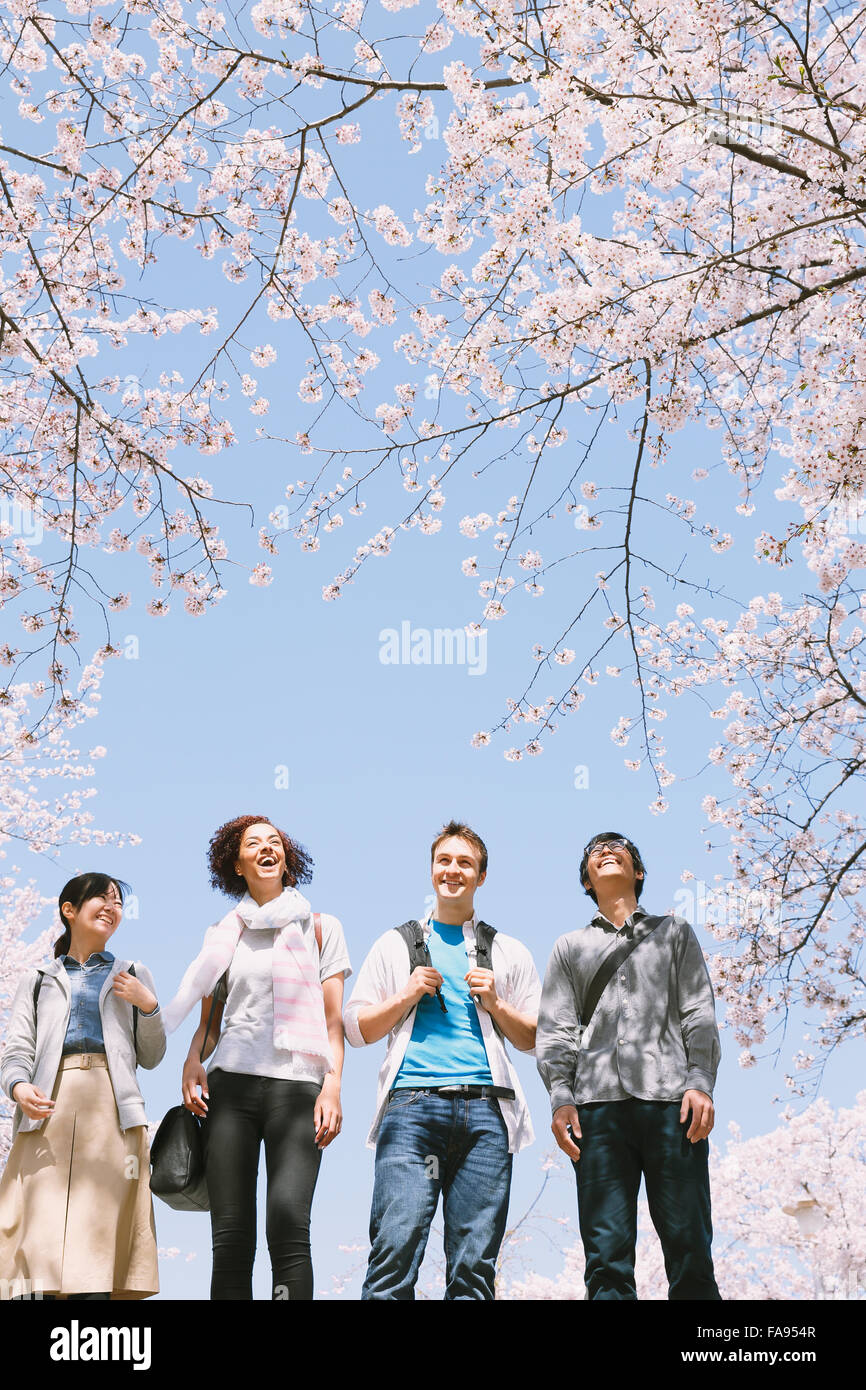 Multi-ethnischen Gruppe von Freunden genießen Kirschblüten blühen in Tokio Stockfoto